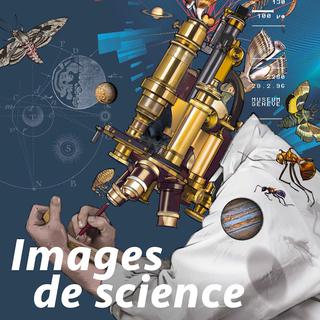 L'affiche de l'exposition temporaire "Images de science" du Musée d'histoire des sciences de Genève.
Musée d'histoire des sciences de Genève [Musée d'histoire des sciences de Genève]
