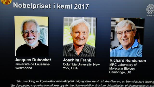 Le prix Nobel de chimie 2017 a été attribué à trois biophysiciens, dont le Suisse Jacques Dubochet.
Atila Altuntas/ANADOLU AGENCY
AFP [AFP - Atila Altuntas/ANADOLU AGENCY]