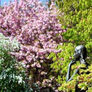 Une statue photographiée entre des arbres en fleurs, dans les allées du Jardin botanique de Genève.
Martial Trezzini
Keystone [Keystone - Martial Trezzini]