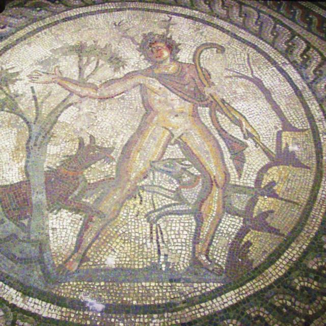 Mosaïque romaine du Corinium Museum de Cirencester représentant Actéon attaqué par ses chiens.
Poliphilo
Wikimédia [Wikimédia - Poliphilo]