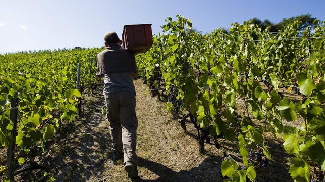 Le Valais lutte contre le travail au noir. [Keystone - Jean-Christophe Bott]