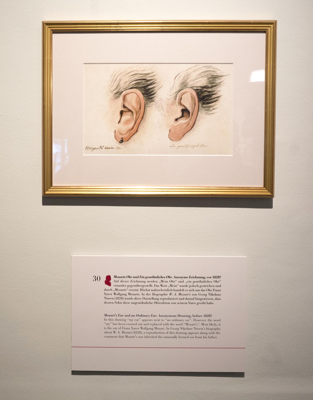 Un dessin représentant l'oreille de Franz xaver Mozart (fils de Wolfgang Amadeus Mozart) et l'oreille d'une personne ordinaire dans le cadre de l'exposition permanente à la Maison Mozart à Salzburg. [AFP - JOE KLAMAR]