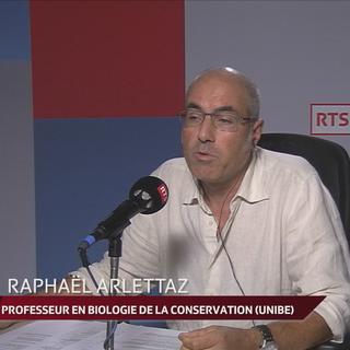 Raphaël Arlettaz, professeur en biologie de la conservation [RTS]