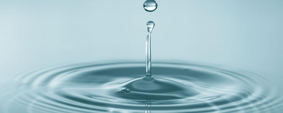 L'eau est indipensable à la vie.
science photo
Fotolia [Fotolia - science photo]