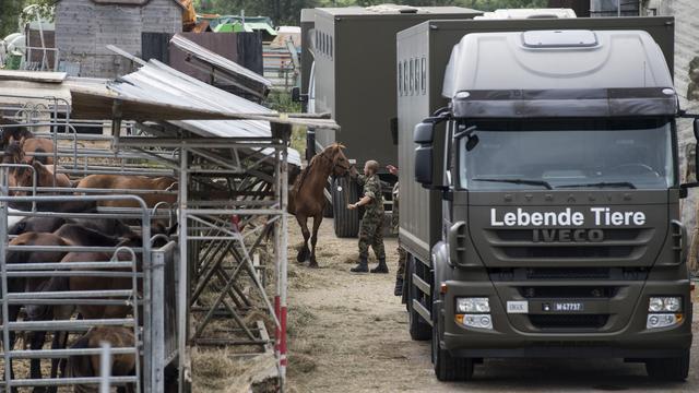 Un militaire emmène un des 90 chevaux de l'élevage d'Hefenhofen (TG) pour le transporter dans un centre de l'armée à Schönbühl (BE). [KEYSTONE - Ennio Leanza]