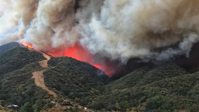 Les flammes avancent vers des habitations au nord de Santa Barbara. [AP/Keystone - Mike Eliason/Santa Barbara County Fire Department]