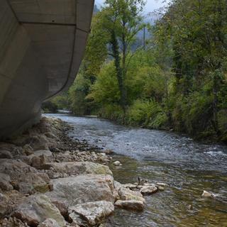 La sécheresse n'atteint pas un niveau critique dans le canton du Jura. [RTS - Gaël Klein]