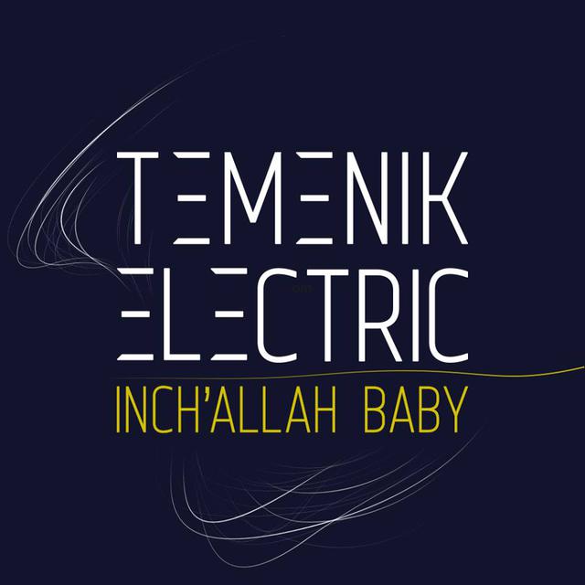 Pochette du dernier album de Temenik Electric.