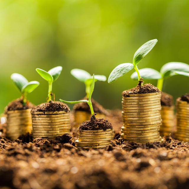La finance verte propose d'utiliser les marchés pour accélerer la transition écologique. [Fotolia - BillionPhotos.com]