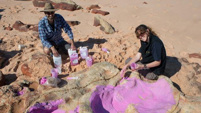 Membres de l'équipe de chercheurs qui a mis au jour 21 types d'empreintes de dinosaures dans le "Jurassic Park" australien. [Université du Queensland/AFP - Steven W. Salisbury]