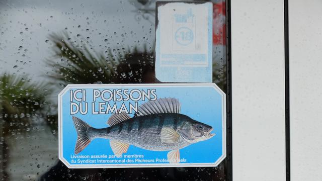 Le logo "Ici poissons du Léman" à l'entrée de l'un des restaurants pris en faute. [RTS - DR]