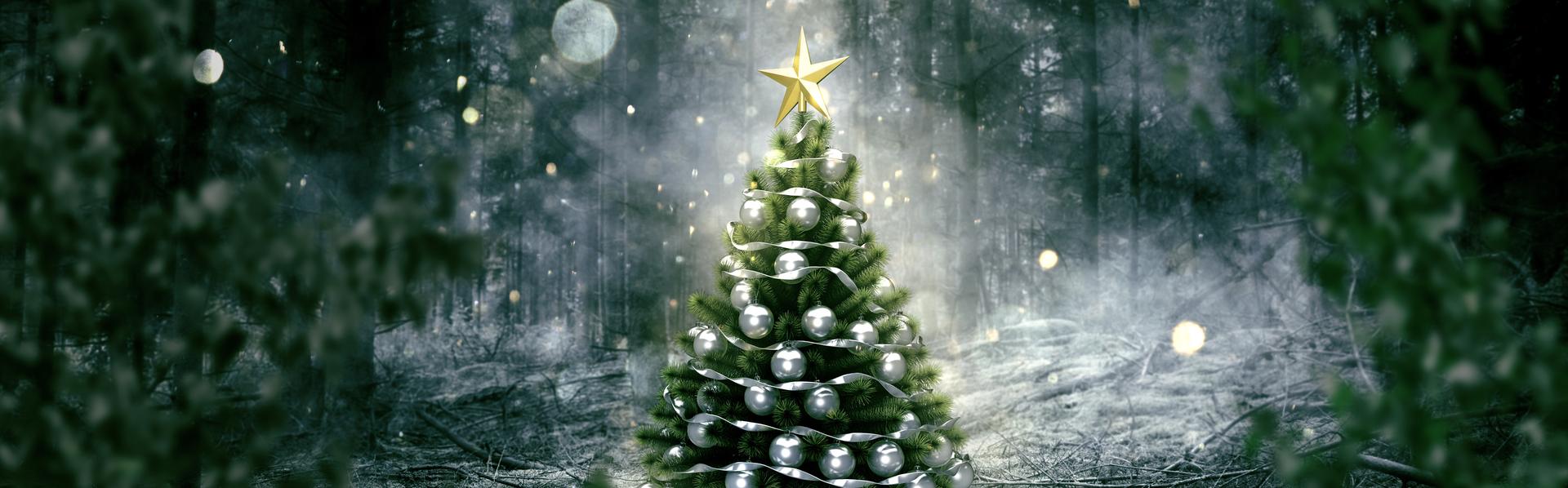 Le sapin de Noël, l'un des symboles des fêtes de fin d'année dans le monde chrétien. [Fotolia - lassedesignen]