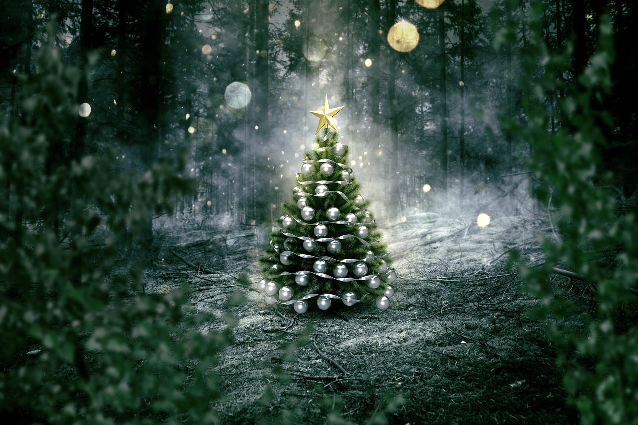 Le sapin de Noël, l'un des symboles des fêtes de fin d'année dans le monde chrétien. [Fotolia - lassedesignen]