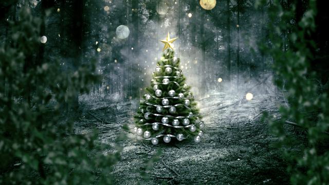 Le sapin de Noël, l'un des symboles des fêtes de fin d'année dans le monde chrétien. [Fotolia - lassedesignen]