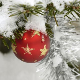 Gros plan sur un sapin de Noël à Vallorbe. [AFP - Bringard Denis]