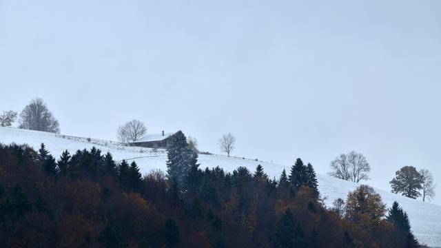 La Roche, le 6 novembre 2017 à 11h. [Marc Brodard]