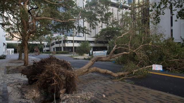 Les arbres jonchent les rues de Miami après le passage de l'ouragan Irma. [AFP - Saul Loeb]