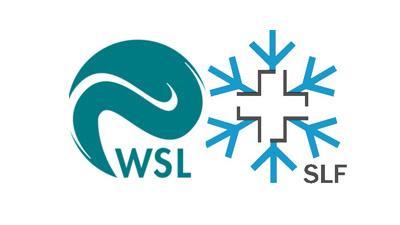 WSL Institut pour l'étude de la neige et des avalanches SLF [Institut pour l'étude de la neige et des avalanches - slf.ch]