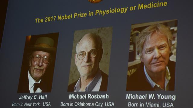 Jeffrey C.Hall, Michael Rosbash et Michael W.Young sont récompensés par le prix Nobel de médecine. [afp - Jonathan Nackstrand]