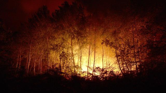 Poussé par des vents violents, le feu a rapidement détruit plus de 150 hectares de forêts. [Caroline Blumberg]