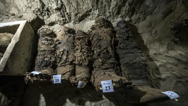 Dix-sept momies non-royales ont été découvertes dans la région désertique de Touna-el-Gabal, en Egypte. [afp - Khaled Desouki]