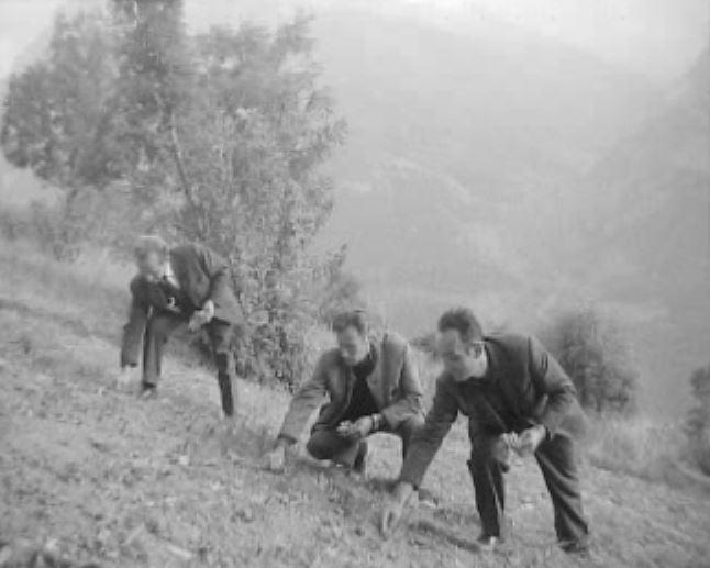 Cueillette en Valais en 1968. [RTS]