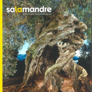 La couverture de La Salamandre des mois de juin-juillet 2017. [Salamandre.net]
