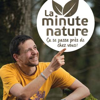 La couverture de l'ouvrage "La minute nature" : ça se passe près de chez vous, de Julien Perrot aux editions La Salamandre, 2017. [salamandre.net]