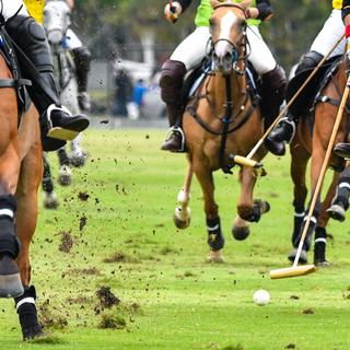 Le polo est un sport méconnu en Suisse.
Hola53
Fotolia [Fotolia - Hola53]