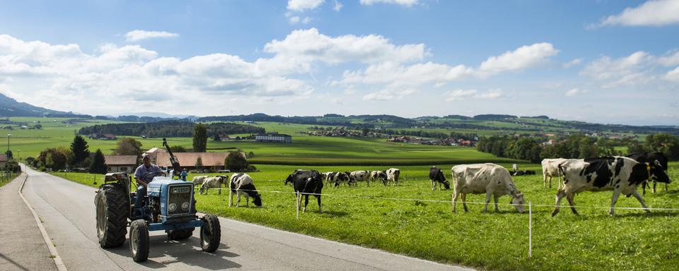 "Il faut que les agriculteurs essaient de trouver des moyens de se mettre ensemble pour mieux approcher directement le consommateur", Paola Ghillani. [Keystone - Jean-Christophe Bott]