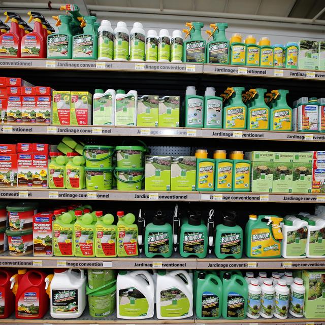 Le glyphosate est présent dans des herbicides, dont le Roundup de Monsanto. [Charles Platiau]