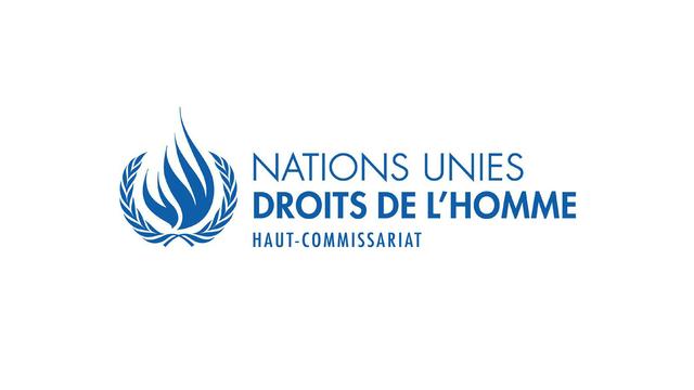 Le Haut-Commissariat des Nations Unies aux droits de l’homme (HCDH) [www.ohchr.org]