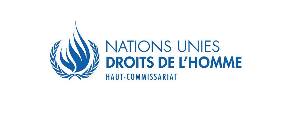 Le Haut-Commissariat des Nations Unies aux droits de l’homme (HCDH) [www.ohchr.org]