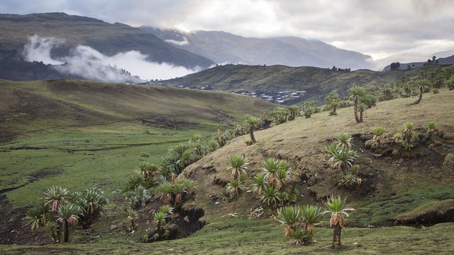 Le parc national du Simien en Ethiopie vient d'être retiré de la liste du patrimoine mondial de l'UNESCO en péril. [AFP - Antoine Boureau]