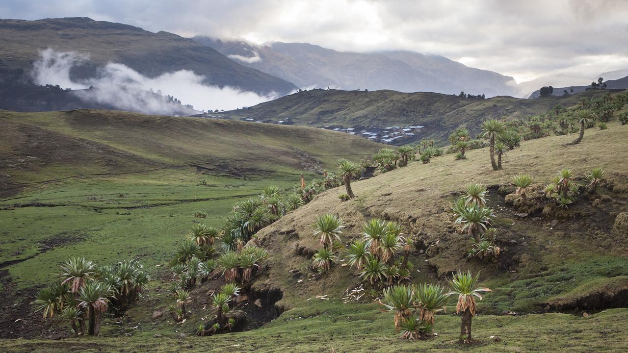 Le parc national du Simien en Ethiopie vient d'être retiré de la liste du patrimoine mondial de l'UNESCO en péril. [AFP - Antoine Boureau]