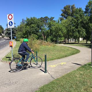 La Ville de Genève a mis en place des parcours balisés dans une dizaine de parcs. [RTS - Mathieu Cupelin]