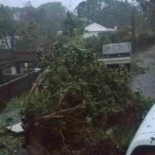 Petit-Bourg, en Guadeloupe, battue par les vents et les pluies de NAria, ce 19 septembre 2017.