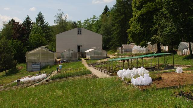 Un projet de laboratoire européen avec la Chine pour le CABI installé à Delémont. [RTS - Gaël Klein]