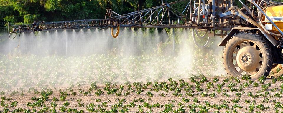 L'initiative veut couper les subsides des paysans qui abusent des pesticides et des antibiotiques. [AFP - Philippe Huguen]