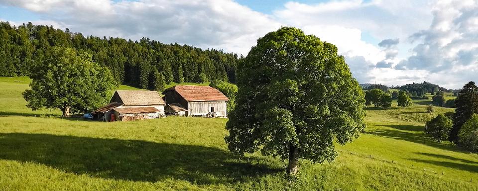 Sur les docs: Jura - Enracinés à leurs terres. [Daniel Künzi]