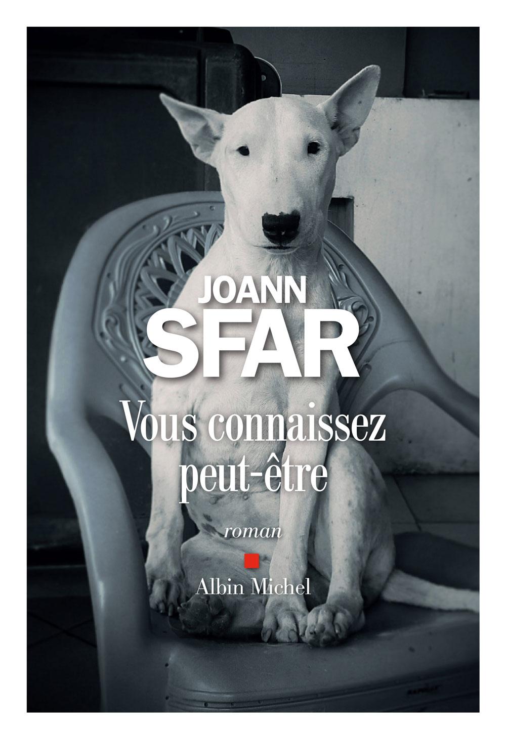 Couverture du roman "Vous connaissez peut-être" écrit par Joann Sfar. [albin-michel.fr - Albin Michel]