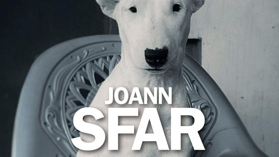Couverture du roman "Vous connaissez peut-être" écrit par Joann Sfar. [albin-michel.fr - Albin Michel]