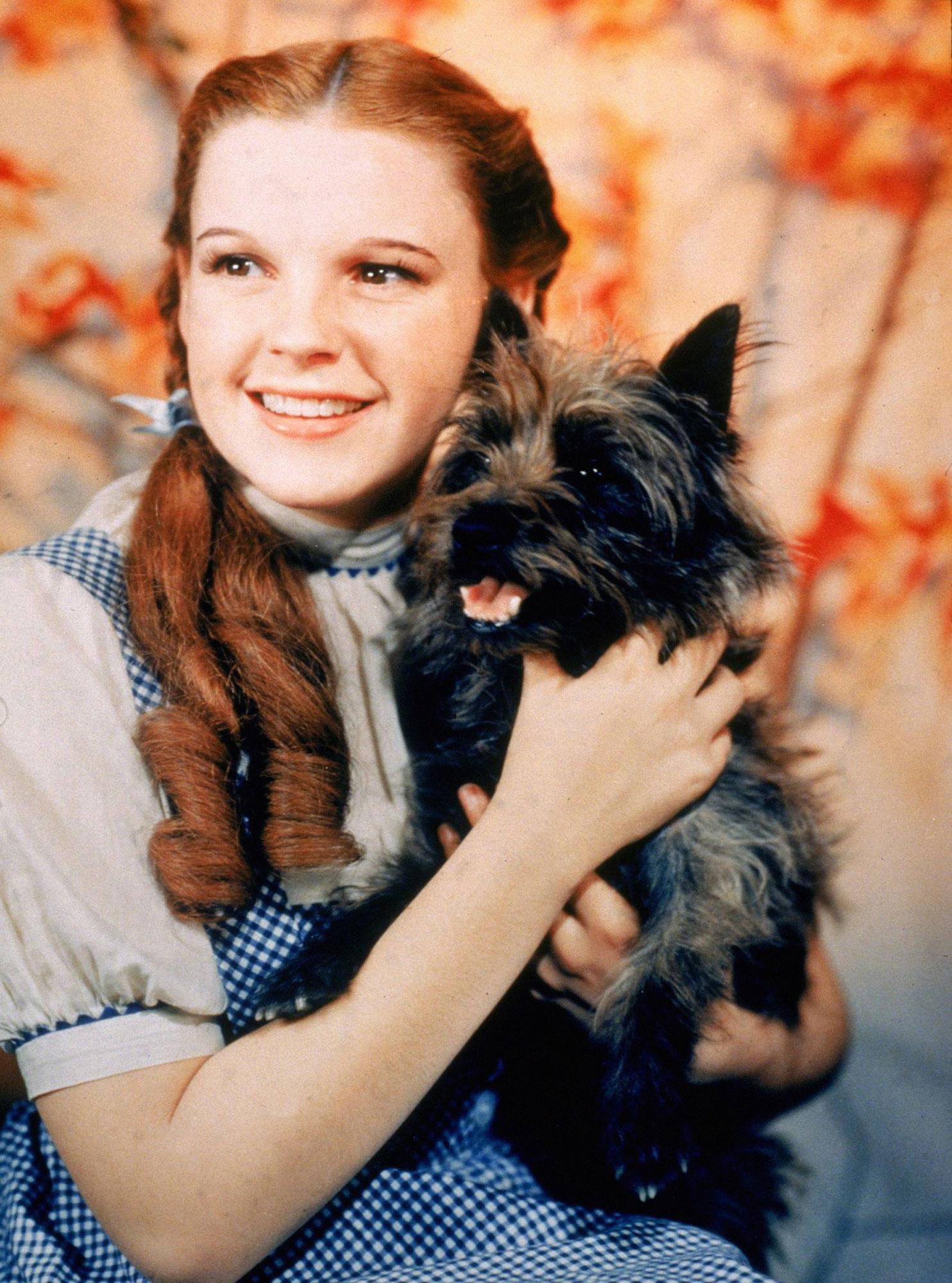 Dorothy et son chien Toto. [AFP]