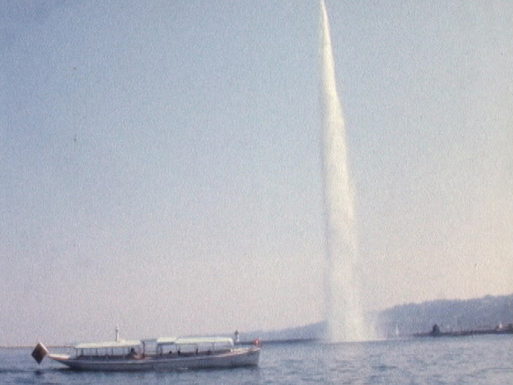 Une Mouette genevoise sur le lac Léman en 1977. [RTS]