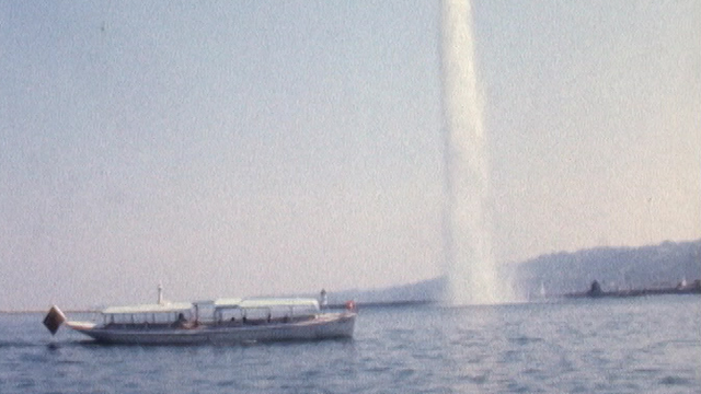 Une Mouette genevoise sur le lac Léman en 1977. [RTS]