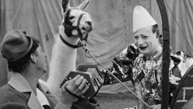 Dans les coulisses du cirque Pilatus en 1954. [RTS]