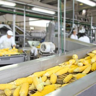 Selon l'OFEV, l'industrie agro-alimentaire suisse génère 500'000 tonnes de déchets alimentaires, dont les trois quarts sont des denrées comestibles. [©branex]