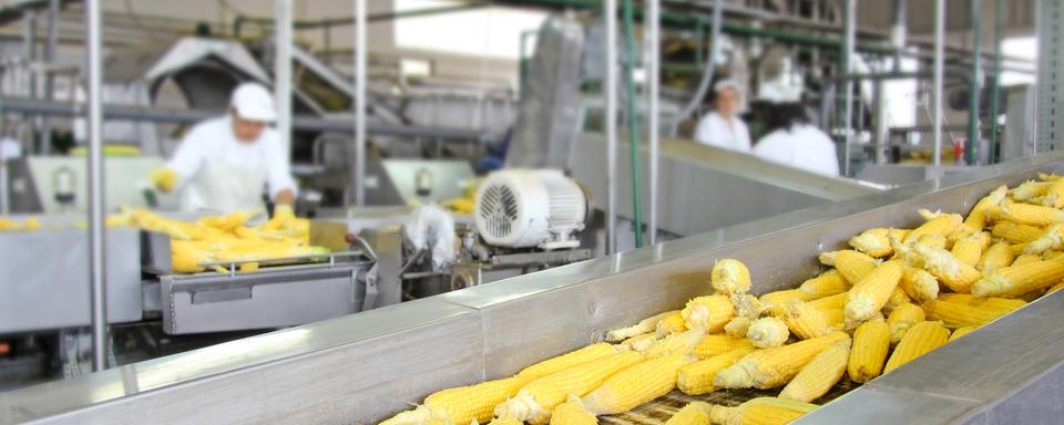 Selon l'OFEV, l'industrie agro-alimentaire suisse génère 500'000 tonnes de déchets alimentaires, dont les trois quarts sont des denrées comestibles. [©branex]