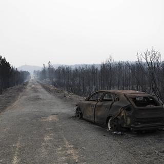 Une voiture calcinée au milieu d'une forêt dévastée par les flammes, le 16 octobre 2017 dans le centre du Portugal.