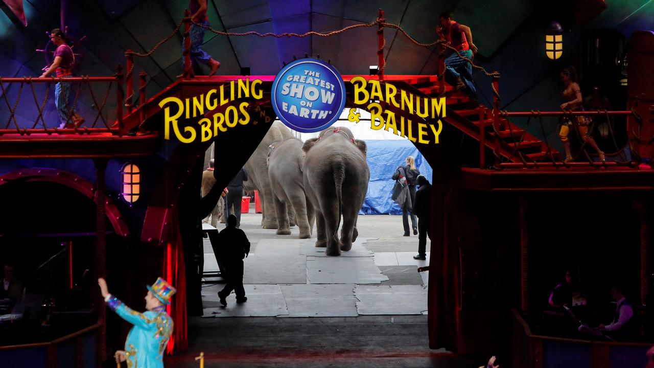 Les éléphants du cirque Barnum sortent de scène, lors de leur dernière représentation en mai 2016 en Pennsylvanie. [Andrew Kelly]